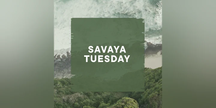 Savaya Tuesday
