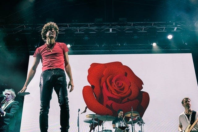 The Kooks