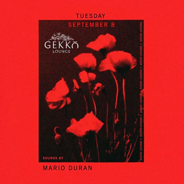 Gekko Lounge