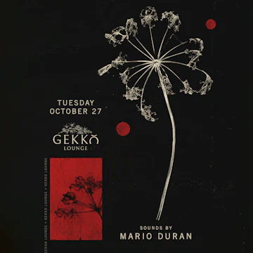 Gekko Lounge