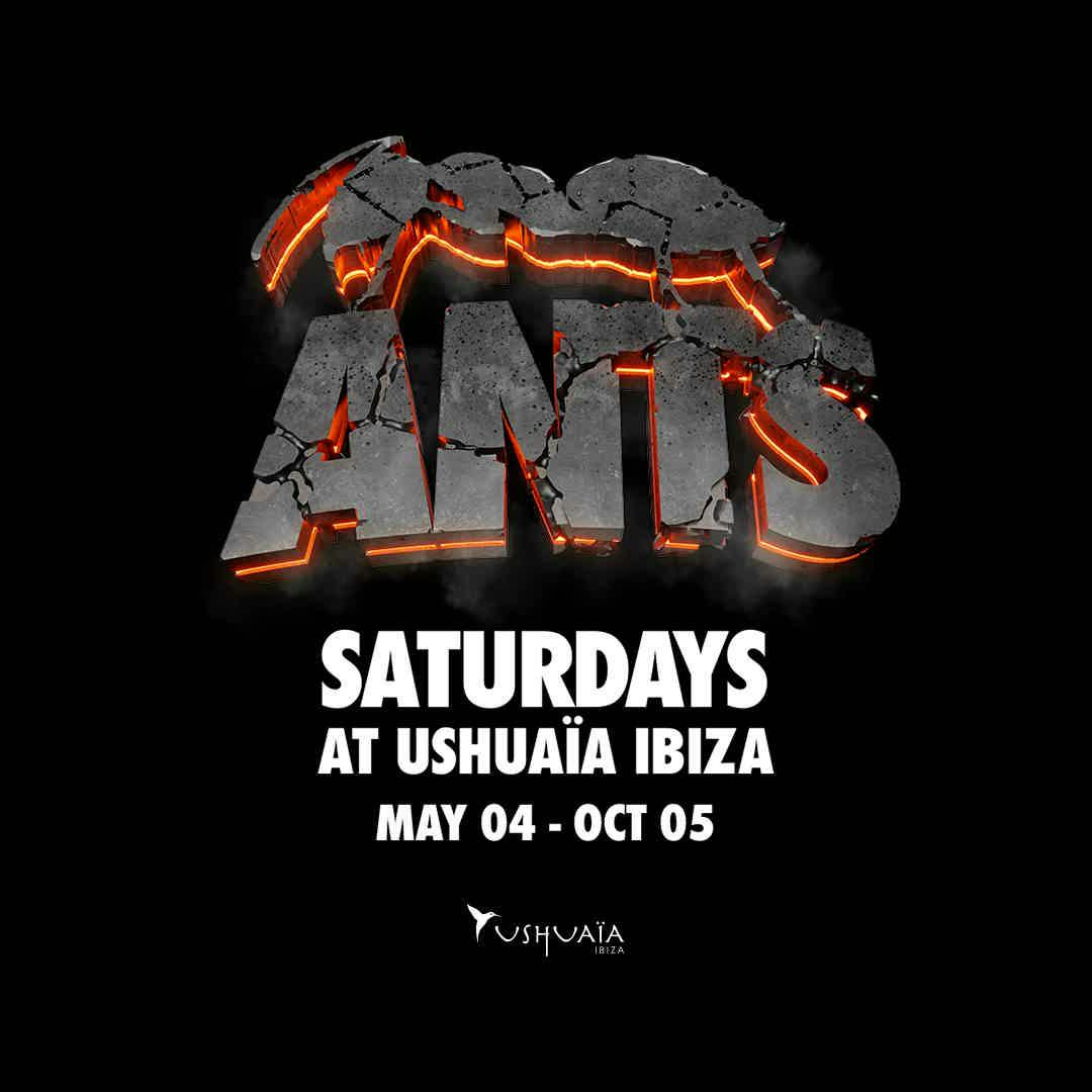 Ants