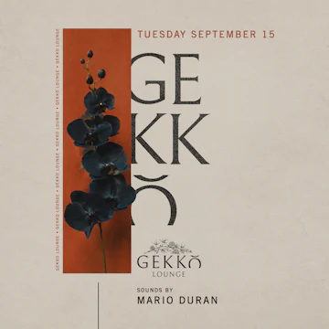 Gekko Lounge