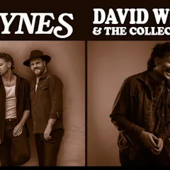 Raynes And David Wimbish & The Collection