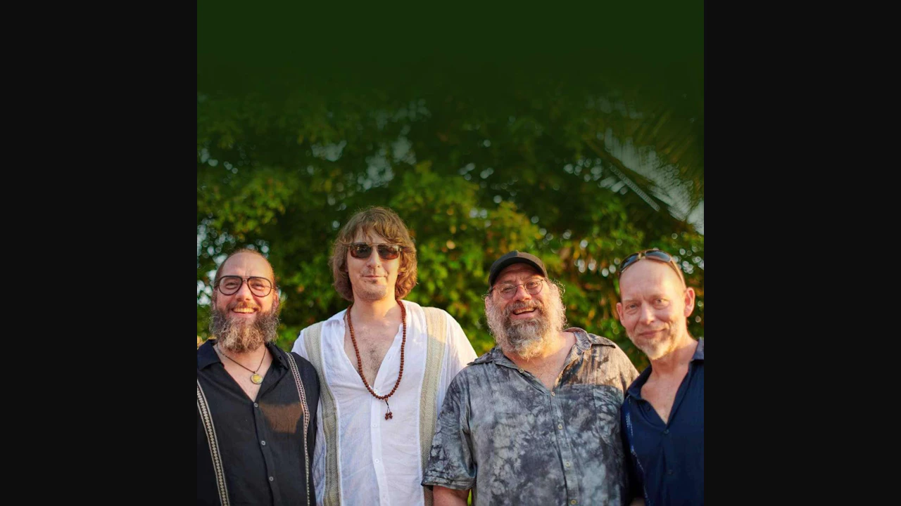 Steely Dead: A Sonic Fusion of the Grateful Dead and Steely Dan