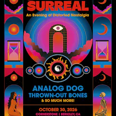 Analog Dog