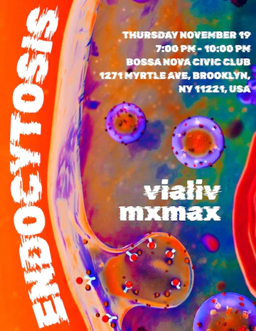 Bossa Nova Civic Club
