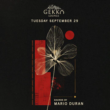Gekko Lounge