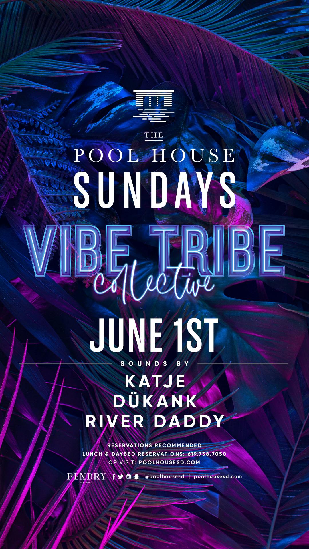 Vibe Tribe Collective w/ Katje + Dukank + River Daddy