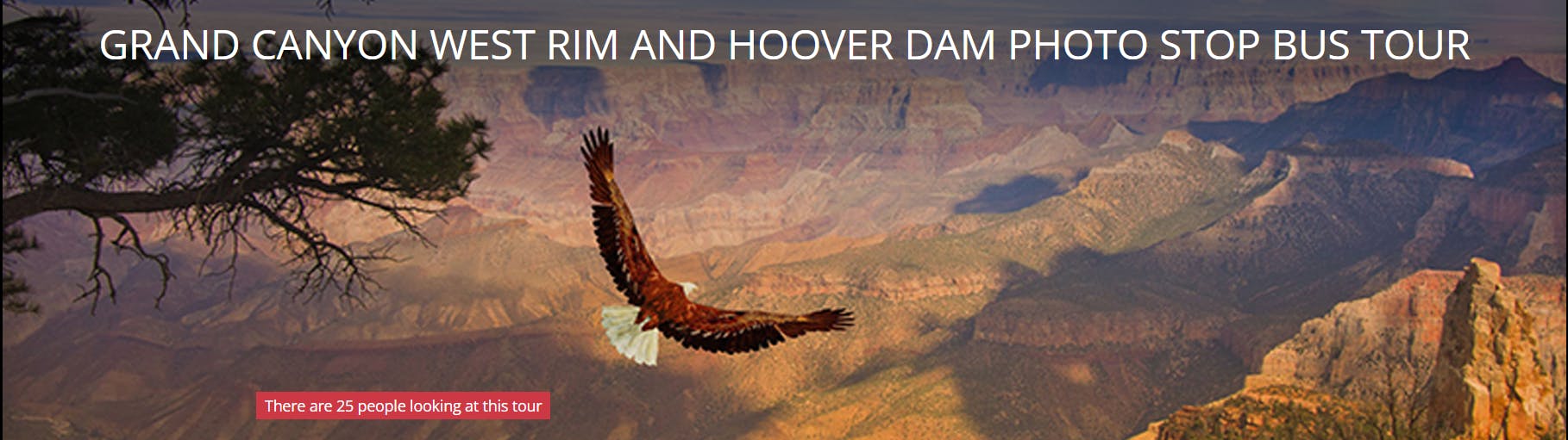 Grand Canyon West Rim With Hoover Dam Photo Stop From Las Vegas 2023