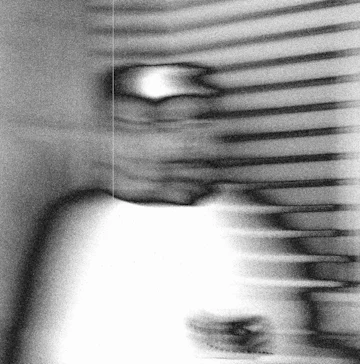 Parallel