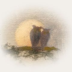 Coastal Credit Union Music Park