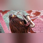 Portland Concerts & Events