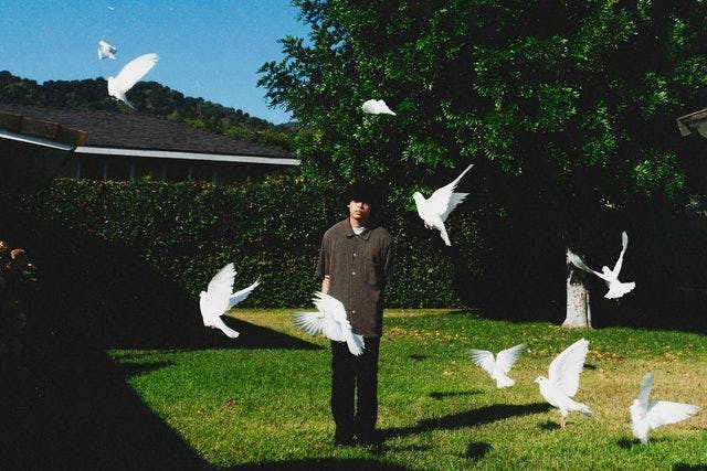 House Of Blues   The Bronze Peacock