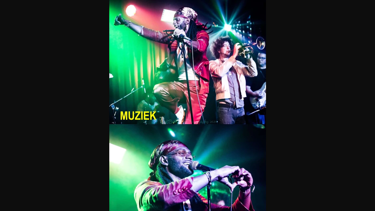 Muziek! (Ft. Ziek Mccarter of Con Brio) (Hardly Strictly Bluegrass Fest *After-party* Show)