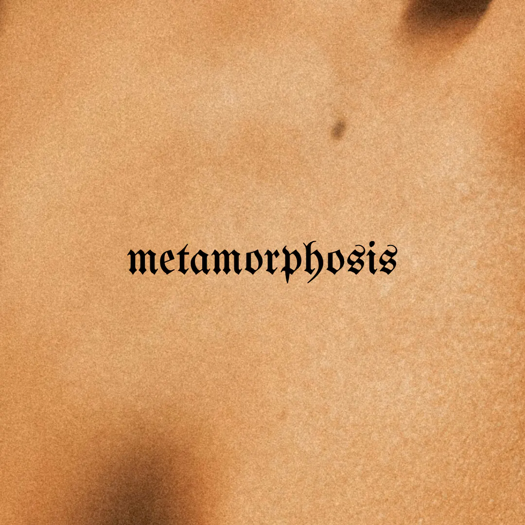 'Metamorphosis'