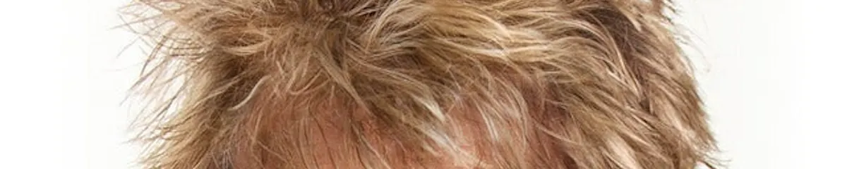 Minnesota State Fair