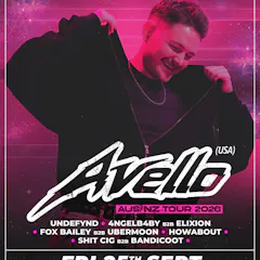 A Night Of Dubstep Feat. Avello (Usa)