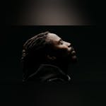 Music Hall Of Williamsburg