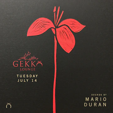 Gekko Lounge