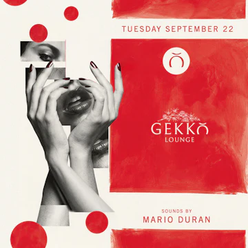 Gekko Lounge