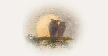 Red Rocks Amphitheatre