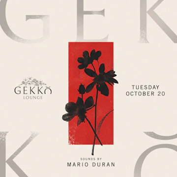 Gekko Lounge