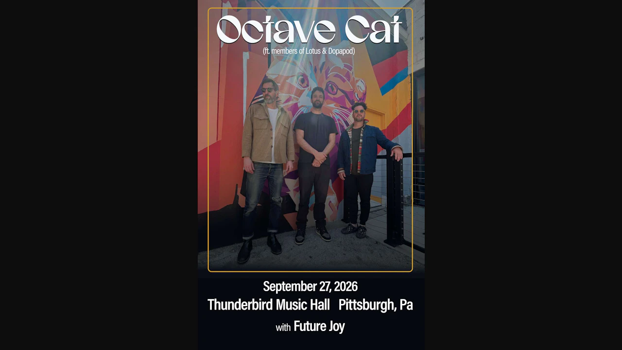 Octave Cat