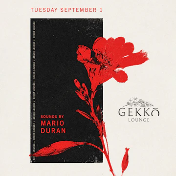Gekko Lounge