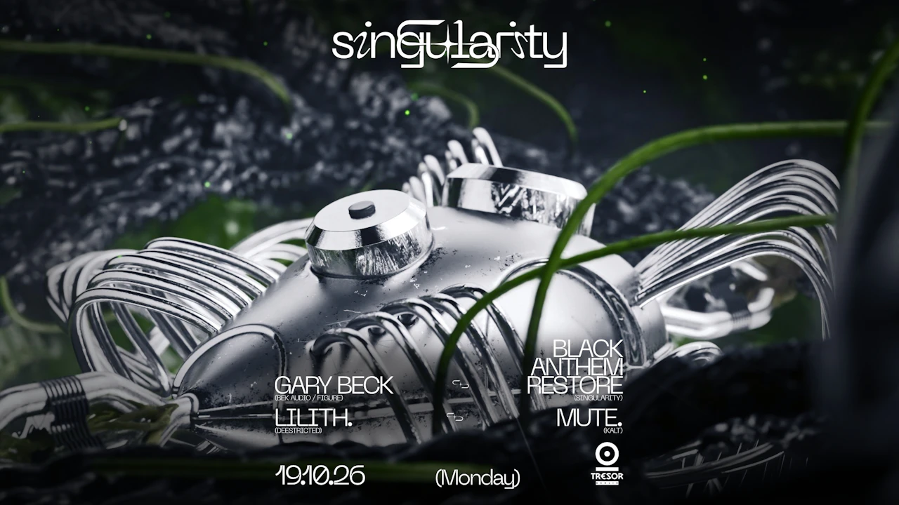 ◥◣singularity◥◣