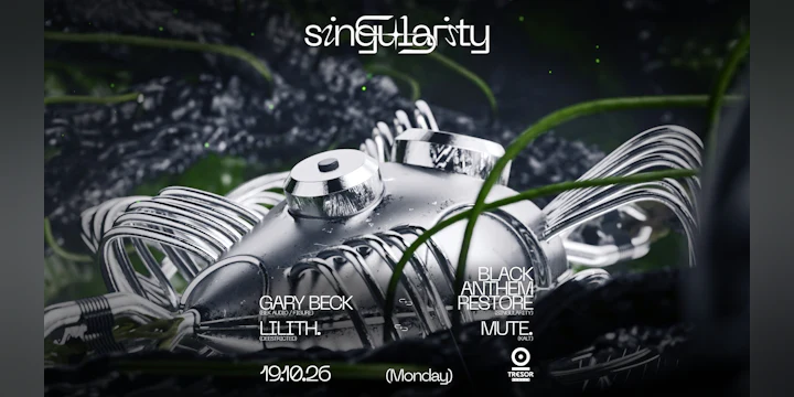 ◥◣singularity◥◣