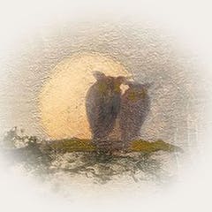 Forest Hills Stadium