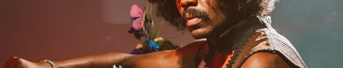 House Of Blues The Bronze Peacock