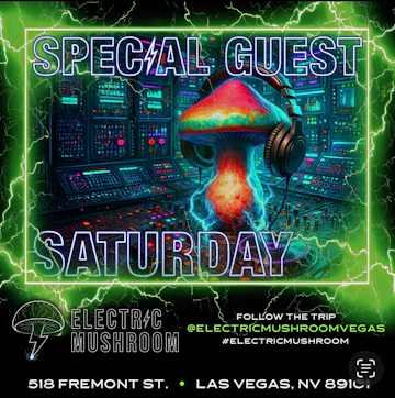 Electric Mushroom