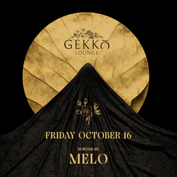 Gekko Lounge