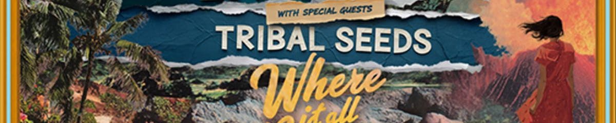 St Augustine Amphitheatre