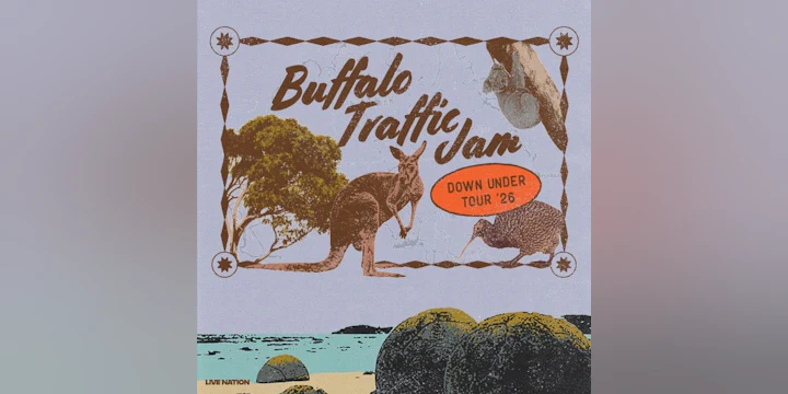 Buffalo Traffic Jam