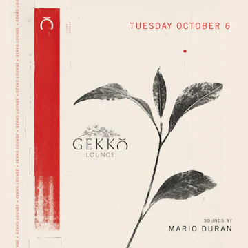 Gekko Lounge