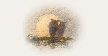 Red Rocks Amphitheatre