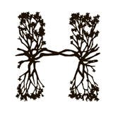 Hyde Sunset logo
