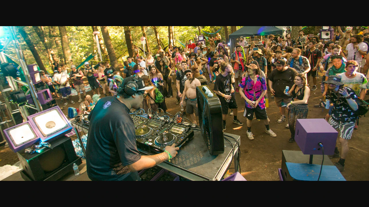 Big Dub Festival