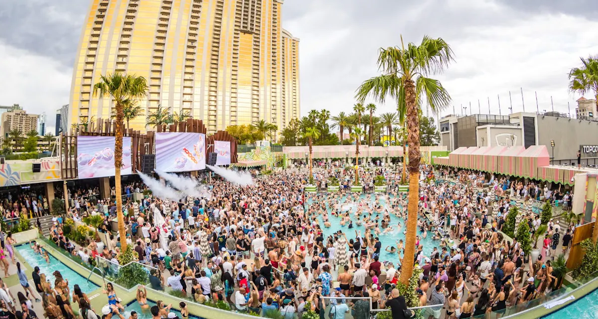 Palm Tree Beach Club photo