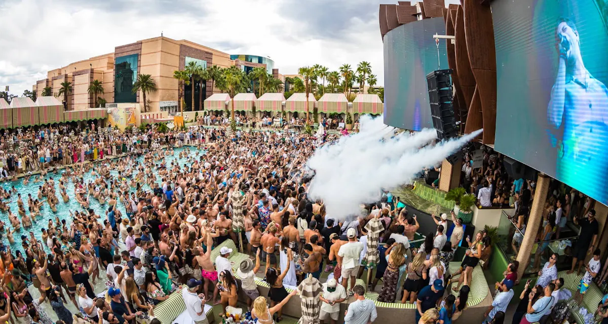 Palm Tree Beach Club photo