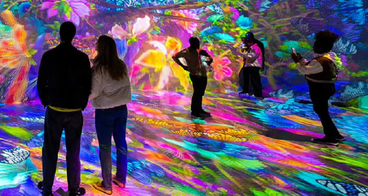 ARTECHOUSE Houston photo