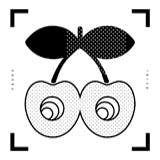 Pacha logo