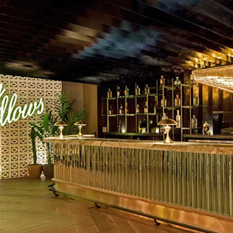 Bootsy Bellows