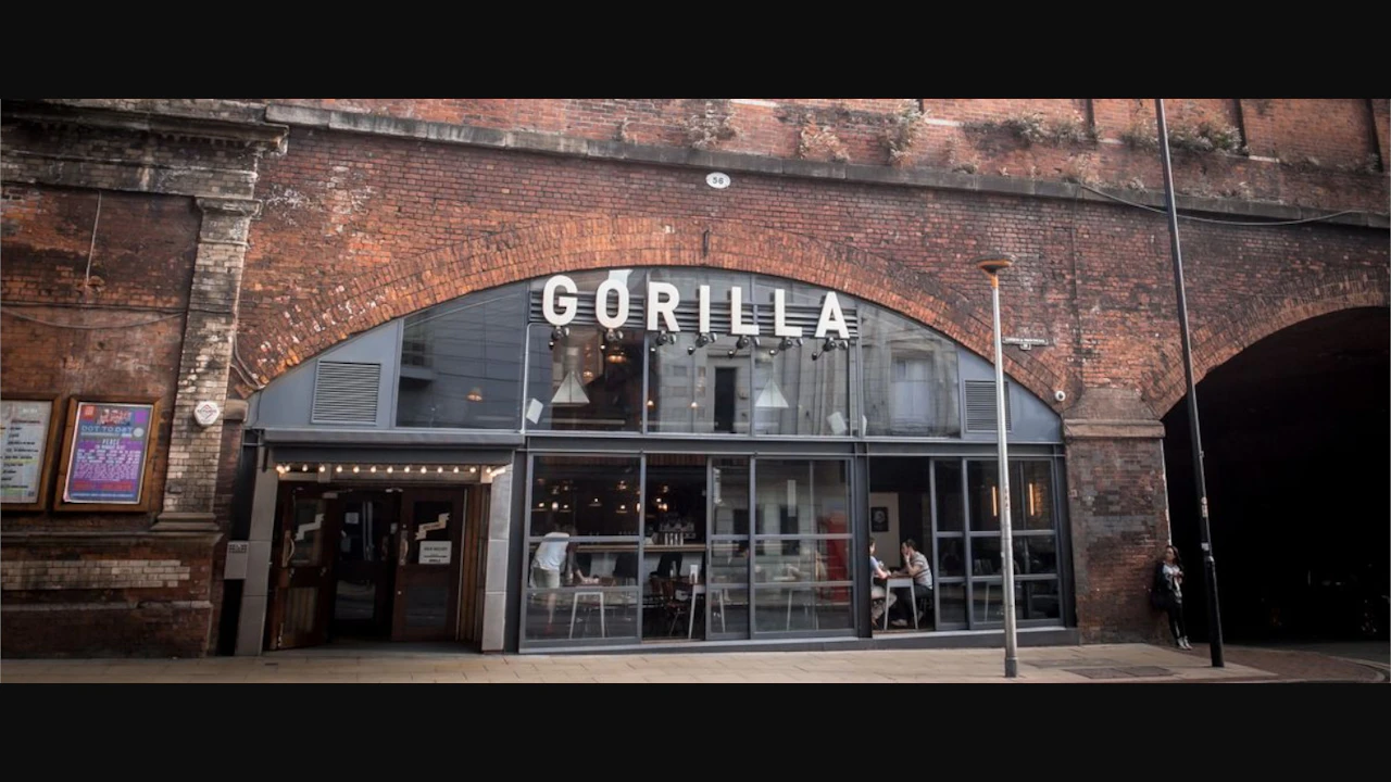 Gorilla