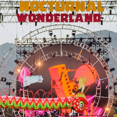 Nocturnal Wonderland