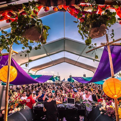 All Day I Dream Festival