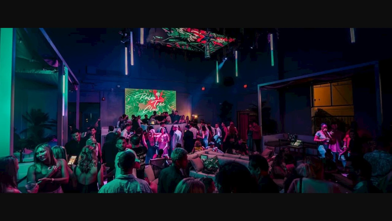 Palm Tree Club Rooftop Orlando Tickets & Promo Codes: FAQ & Tips - Discotech
