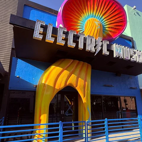 Electric Mushroom
